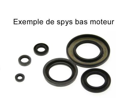 Jeu de joints spi CENTAURO 1003405