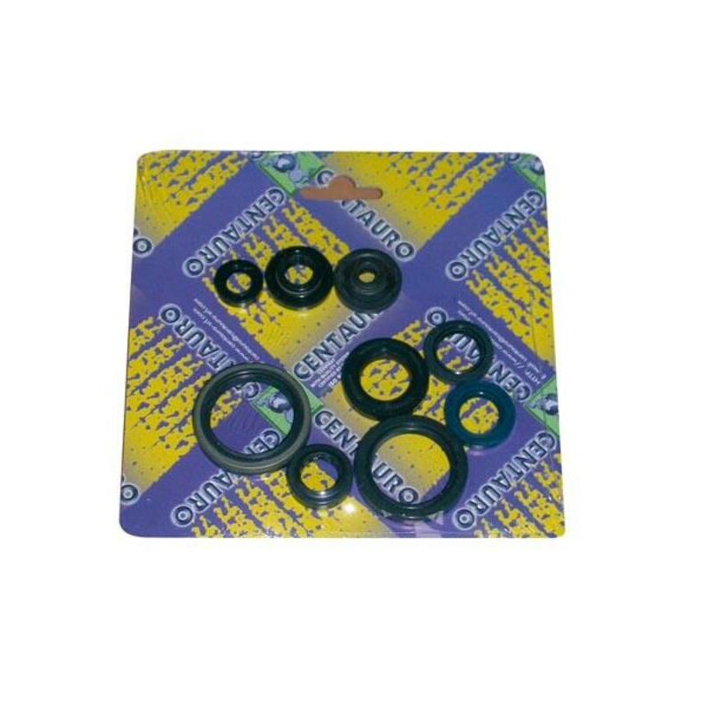 Jeu de joints spi CENTAURO 1003368