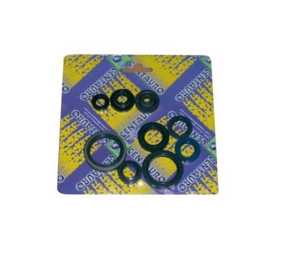 Jeu de joints spi CENTAURO 1003368