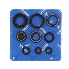 Jeu de joints spi CENTAURO 1003242