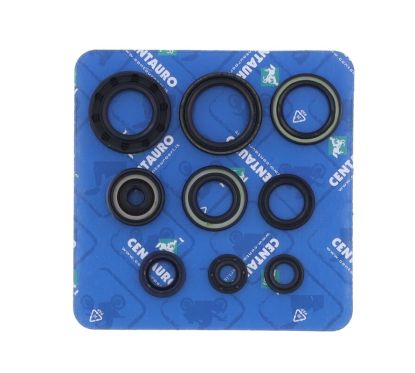 Jeu de joints spi CENTAURO 1003242