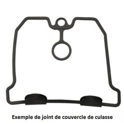 Joint de couvercle de soupape CENTAURO 1118859