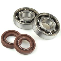 Kit roulements et joints spi de vilebrequin CENTAURO 1127934