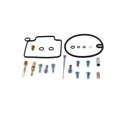Kit réparation de carburateur ALL BALLS 1153655
