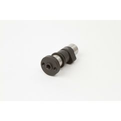 Arbre à cames HOT CAMS - Niveau 1 Yamaha 3030127