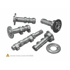 Arbre à cames admission HOT CAMS - Niveau 1 Yamaha YZ450F 1018997