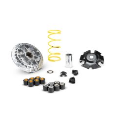Variateur MALOSSI Multivar 2000 1130216