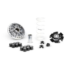 Variateur MALOSSI Multivar 2000 1130598