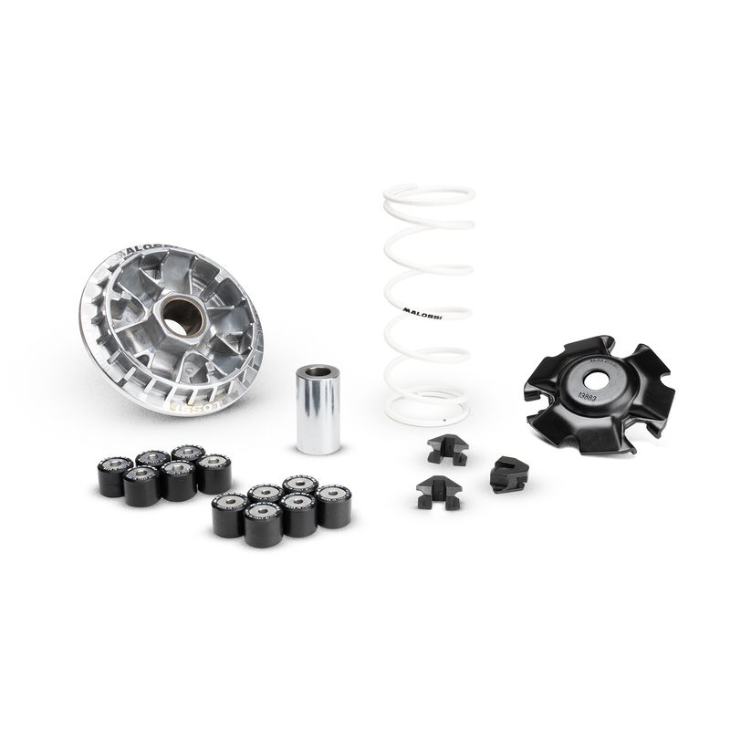Variateur MALOSSI Multivar 2000 1130598