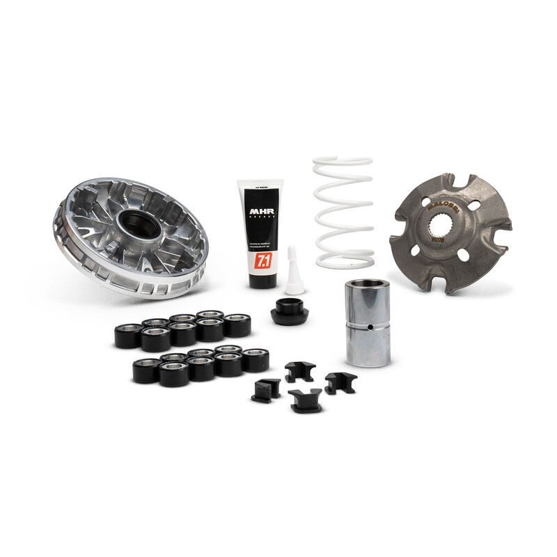 Variateur MALOSSI Multivar 2000 1138556