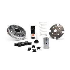 Variateur MALOSSI Multivar 2000 1149104