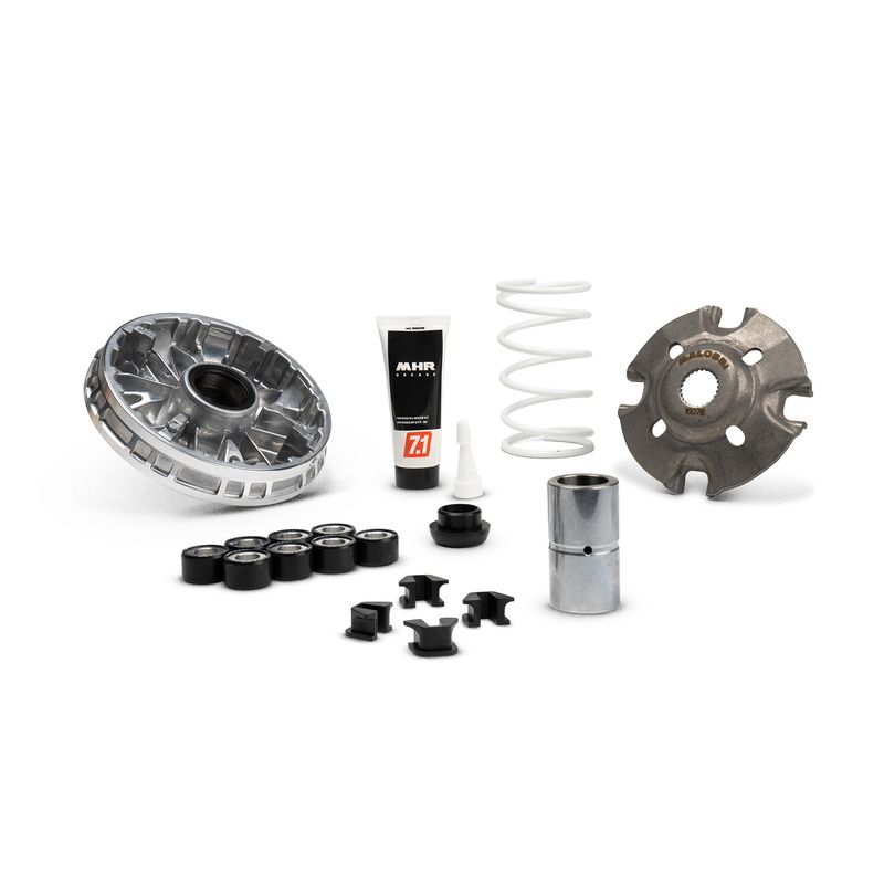 Variateur MALOSSI Multivar 2000 1149104