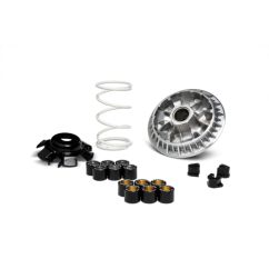 Variateur MALOSSI Multivar 2000 1118937