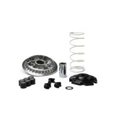 Variateur MALOSSI Multivar 2000 1107002