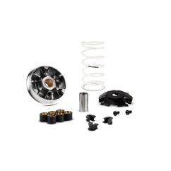 Variateur MALOSSI Multivar 2000 1124698