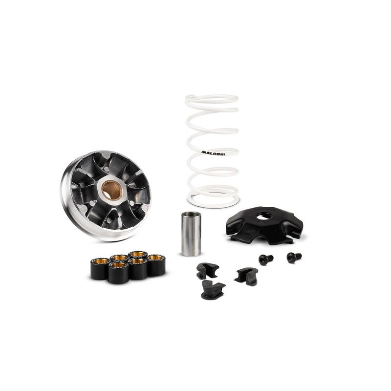 Variateur MALOSSI Multivar 2000 1124698