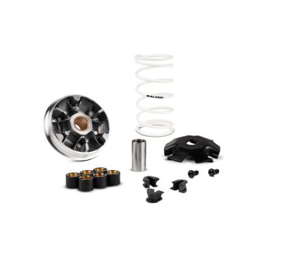 Variateur MALOSSI Multivar 2000 1124698