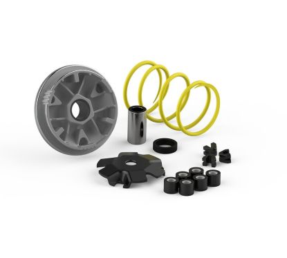 Variateur MALOSSI Multivar 1008144