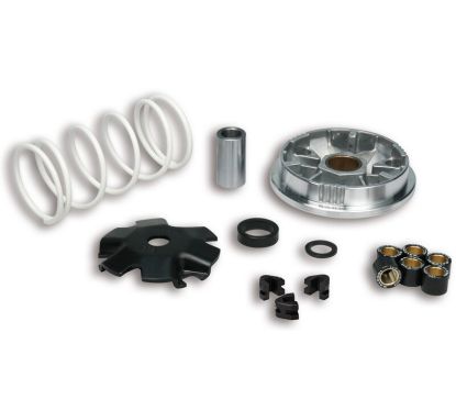 Variateur MALOSSI Multivar 2000 - scooter 50 4T 1008018