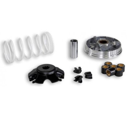 Variateur MALOSSI Multivar 2000 - Honda 1008146