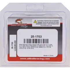 BEARING KIT WHEEL R YAM 02150848