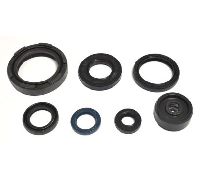 ENGINE OIL SEALS KIT 09346666