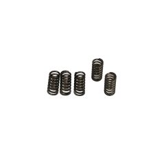 CLUTCH SPRING SET (6 PCS) 11313443