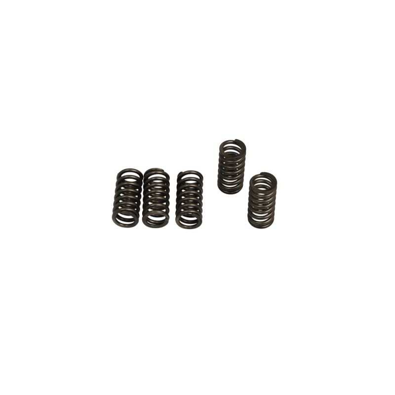CLUTCH SPRING SET (6 PCS) 11313443