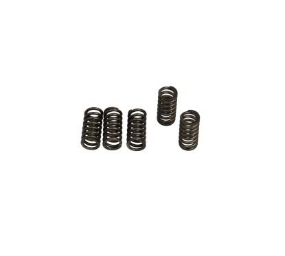 CLUTCH SPRING SET (6 PCS) 11313443