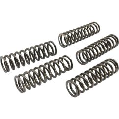 CLUTCH SPRING SET (5 PCS) 11313342