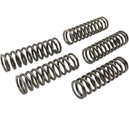 CLUTCH SPRING SET (5 PCS) 11313342