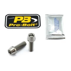 BOLT KIT REAR BRAKE MOUNT TIT 17020572