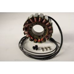 OE STYLE STATOR TGB 21121296