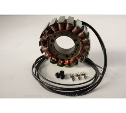 OE STYLE STATOR TGB 21121296