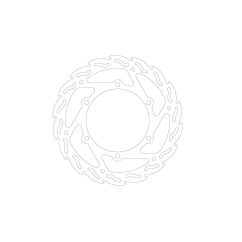 BRAKE DISC FLAME FRONT 17110165