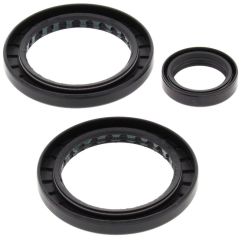 Kit joints de différentiel arrière ALL BALLS