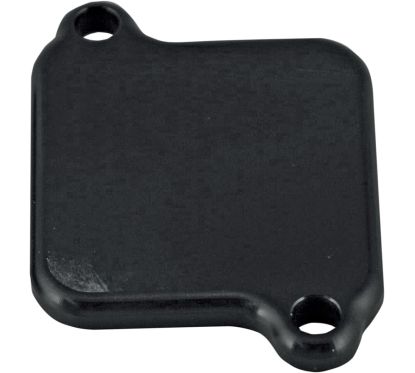 Plaques de suppression du système Antipollution - SUZUKI - GSX-R600 01-05