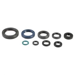 ENGINE OIL SEAL KIT - 09343060
