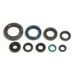 ENGINE OIL SEAL KIT - 09343060