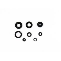 ENGINE OIL SEAL KIT - 09343061