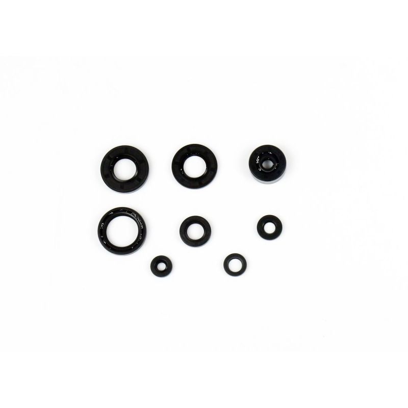 ENGINE OIL SEAL KIT - 09343061