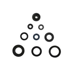 ENGINE OIL SEAL KIT - 09343062