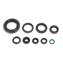 ENGINE OIL SEAL KIT - 09343065