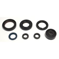 ENGINE OIL SEAL KIT - 09343066