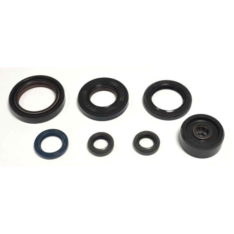ENGINE OIL SEAL KIT - 09343066