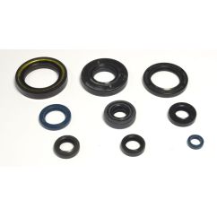 ENGINE OIL SEAL KIT - 09343068