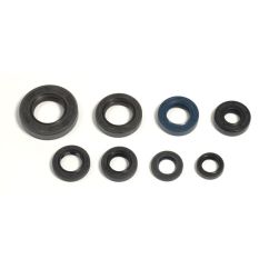 ENGINE OIL SEAL KIT - 09343069