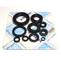 ENGINE OIL SEAL KIT - 09343073