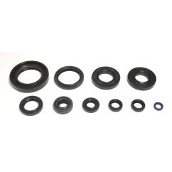 ENGINE OIL SEAL KIT - 09343073