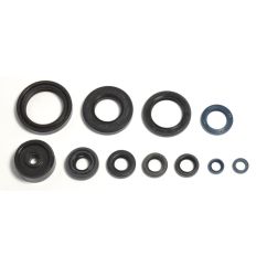 ENGINE OIL SEAL KIT - 09343074